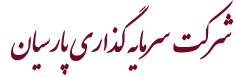 هلدینگ